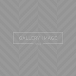 About Us V1 About Us V1