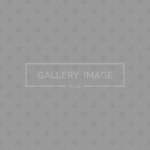 About Us V1 About Us V1