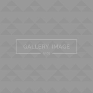 About Us V1 About Us V1