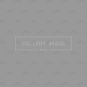 About Us V1 About Us V1