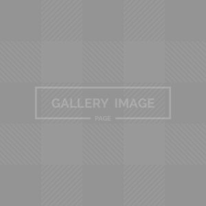 About Us V1 About Us V1