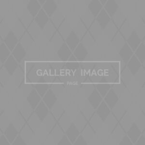 About Us V1 About Us V1